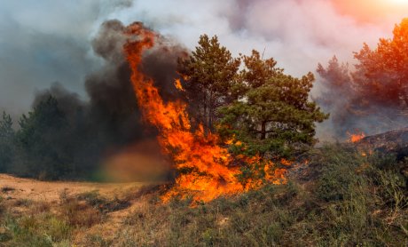 Η πυρκαγιά στην Αττική είναι η δεύτερη πιο φονική του 21ου αιώνα