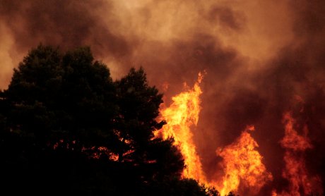 Αυξημένη κατά 300% η καμένη έκταση και κατά 160% ο αριθμός των δασικών πυρκαγιών στην Ελλάδα μέχρι σήμερα
