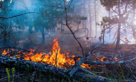 Πυρκαγιές σε τρεις διαφορετικές εστίες στην Χερσόνησο Κρήτης