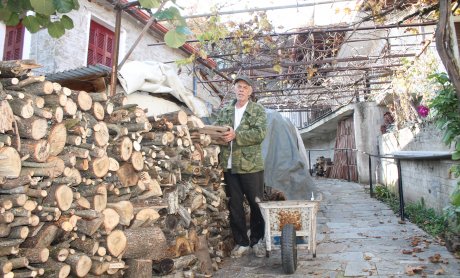 Αραρίσκοντας Ηλίας Προβόπουλος: Τα ξύλα του χειμώνα