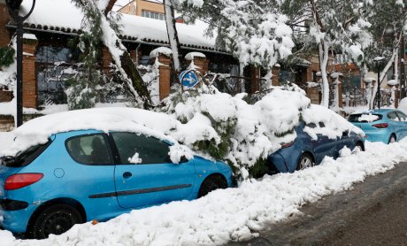 Πτώση δέντρου λόγω χιονιού σε σταθμευμένο αυτοκίνητο αποζημιώνει το ασφαλιστήριο;