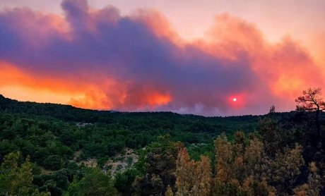 Αραρίσκοντας Ηλίας Προβόπουλος: Σαν να βούλιαζε την κιβωτό ο Νώε...