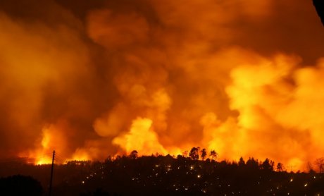 Στα 6 εκατ. ευρώ υπολογίζονται οι αποζημιώσεις για τις δασικές πυρκαγιές του Ιουλίου, στην Αττική