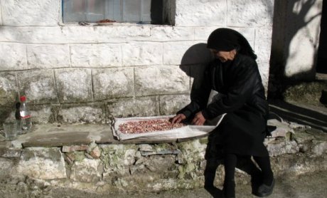 Η Δημήτρω και η σκιά της, του Ηλία Προβόπουλου