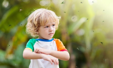 Σταυρούλα Γιαβή: Τι να κάνετε αν έντομα τσιμπήσουν τα παιδιά σας