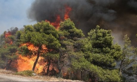 Πολύ υψηλός κίνδυνος πυρκαγιάς σήμερα για 5 περιφέρειες - Στους 44 βαθμούς το θερμόμετρο!