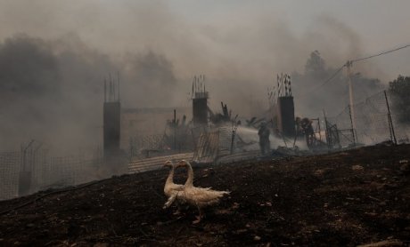 Μάχη με την πύρινη λαίλαπα στην Πάρνηθα!