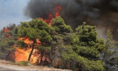 Οι 5 περιοχές με πολύ υψηλό κίνδυνο φωτιάς για σήμερα - Επιμένει η ζέστη