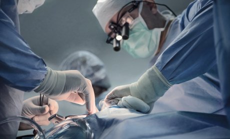 Άδ. Γεωργιάδης: Ρεκόρ για τις μεταμοσχεύσεις το 2025