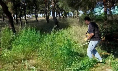 Aντιπυρική περίοδος: Ο καθαρισμός οικοπέδων από τα βασικά εργαλεία πρόληψης- Σε εξέλιξη το πρόγραμμα «ΑΙΓΙΣ», ύψους 2 δισ. ευρώ
