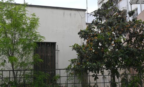 Οι μουσμουλιές που μαραζώνουν στα Σεπόλια