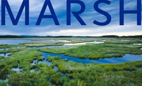 Το περιβάλλον ζητά την Marsh του