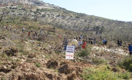 Xerox Hellas: Συμμετοχή στην την ανάπλαση της Πεντέλης