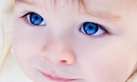 Χτίστε τα οστά του πριν να είναι αργά