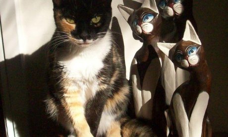 Πού οδηγεί η άνοδος της μεσαίας τάξης; Τάσεις και σημεία των καιρών ….