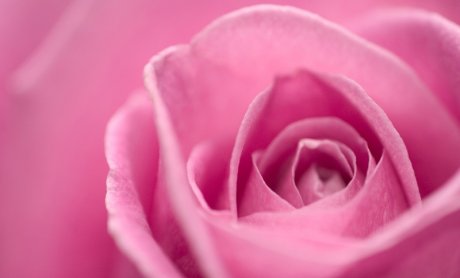 Tο.. Μπουροσαγκάρι.. της Ελληνικής ασφαλιστικής Δημοσιογραφίας