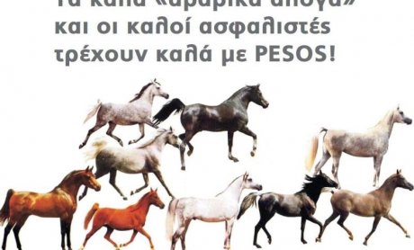 Τα καλά 'αραβικά άλογα' και οι καλοί ασφαλιστές τρέχουν καλά με PESOS!