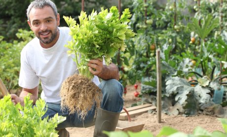 Γνωρίστε το νέο πρόγραμμα της DAÈS, "AGRONOMOS™"