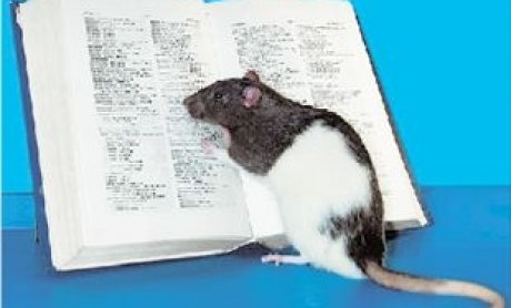 Νέα ουσία για την αποκατάσταση της όρασης