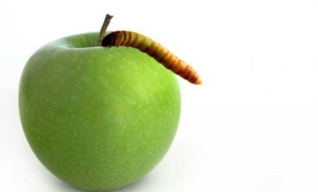 Προσέξτε το -σκουλήκι- στο πράσινο μήλο