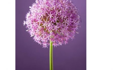 Πως θα χορηγεί ο ΕΟΠΥΥ από 1.3.2013 αναλώσιμα διαβητικών;