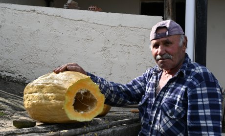 Αραρίσκοντας Ηλίας Προβόπουλος: Ο άδειος κουμπαράς του κήπου