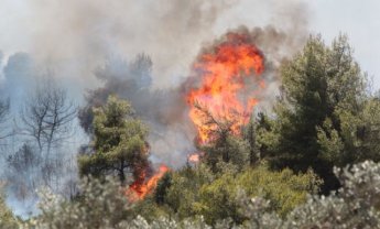 Πυρκαγιά εκδηλώθηκε στον Σχινιά Αττικής