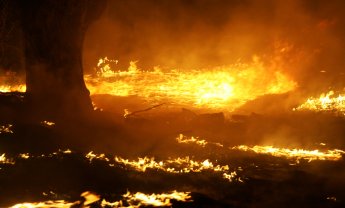 Η καταστροφή των Γερανείων Ορέων από την πυρκαγιά της 19ης Μαΐου 2021