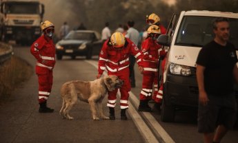 Ολονύχτια συνδρομή του Ελληνικού Ερυθρού Σταυρού στο μέτωπο της φωτιάς στην Βαρυμπόμπη