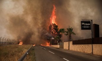 Πυρκαγιές: Στις 77 οι επιχειρήσεις που έχουν πληγεί στην Αττική