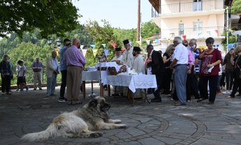 Αραρίσκοντας Ηλίας Προβόπουλος: Η ημέρα των ζώων στο χωριό