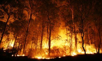 Τι αναφέρει η έκθεση της Κομισιόν σχετικά με τις δασικές πυρκαγιές;