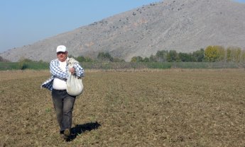 Αραρίσκοντας Ηλίας Προβόπουλος: Όπως γίνονταν κάποτε η σπορά…