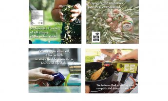 Η Terra Creta είναι η πρώτη ελληνική εταιρία στον χώρο του ελαιόλαδου, που δημοσιεύει Απολογισμό Βιώσιμης Ανάπτυξης