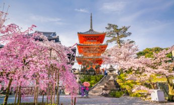 Με ιδιωτική ασφάλιση υγείας θα μπορούν να επισκέπτονται την Ιαπωνία οι ξένοι τουρίστες!