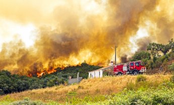 Τι προβλέπει η νομοθεσία για την ασφάλιση πυρκαγιάς από δάσος;