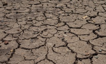 Η ξηρασία στην Ευρώπη επηρεάζει τις καλλιέργειες κι αυξάνει τον κίνδυνο για πυρκαγιές!