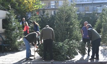 Τα έλατα των Χριστουγέννων του Ηλία Προβόπουλου