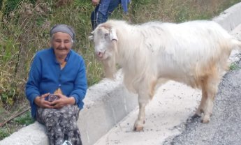 Ηλίας Προβόπουλος: Η τελευταία των ανεξάρτητων ανθρώπων