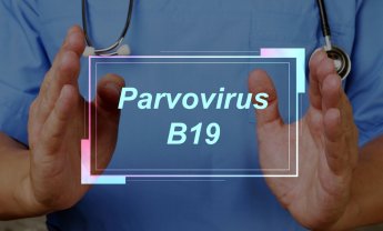 Σε επιφυλακή οι επιστήμονες για τον ιό Parvovirus B19!