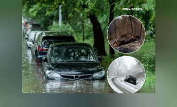 Υποχρεωτική ασφάλιση οχημάτων - Τι προβλέπει ο νόμος 5116/2024