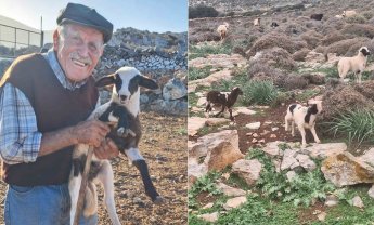 Όσα ξέρει ο Νικόλας για το αρνάκι του…