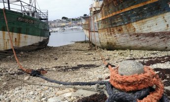 Aigaion Ασφαλιστική: Πρώτη στις θαλάσσιες ασφαλίσεις με αποδείξεις