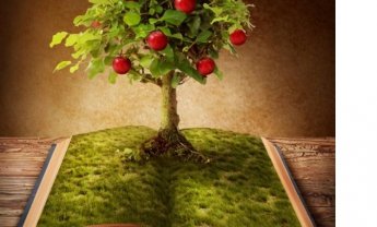 Για να βγουν ‘καρποφόρα δένδρα’ κάντε σεμινάρια υπό νέα Διεύθυνση! (σαν αυτό που έγινε στις 20-25 Νοεμβρίου 1983 και πλήρωσε η INTERAMERICAN)