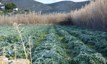 Η γεωργία ως αποστολή