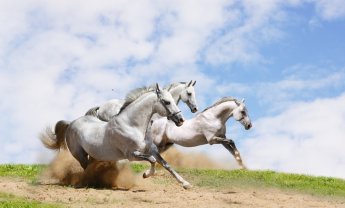 «Ερήμωσε» η Ελληνική επαρχία χωρίς «ταμπέλες» και ασφαλιστές ασφαλιστικών εταιριών!