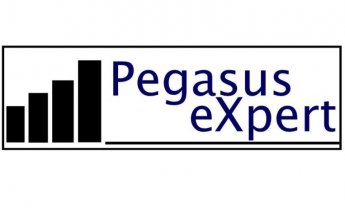 Pegasus eXpert: Νέο Δίκτυο στο Performance Management, Marketing & Development