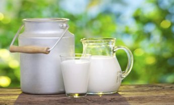 Ευρωβουλή: Με σφραγίδα η προέλευση για κρέας και γάλα