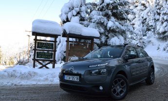 Citroen C4 Cactus: Με... crossoverίστικη διάθεση