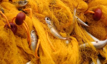 Η ΕΕ αντιμετωπίζει την παράνομη, λαθραία και άναρχη αλιεία